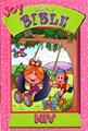 Joy children's Bible