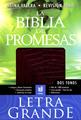 La biblia de las promesas letra grande vino/croc
