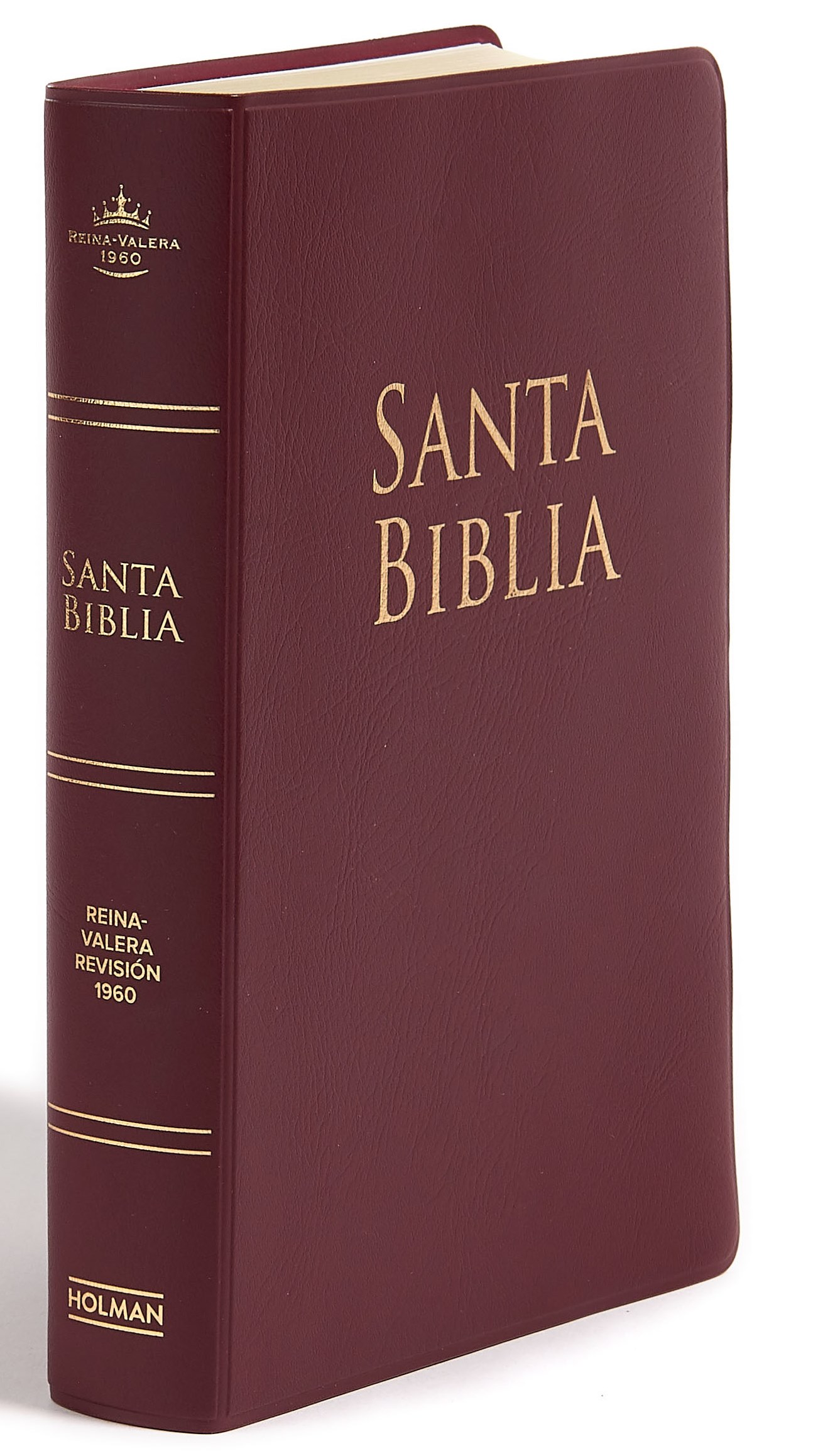 Rvr Biblia Letra Grande Tama O Manual Reina Valera