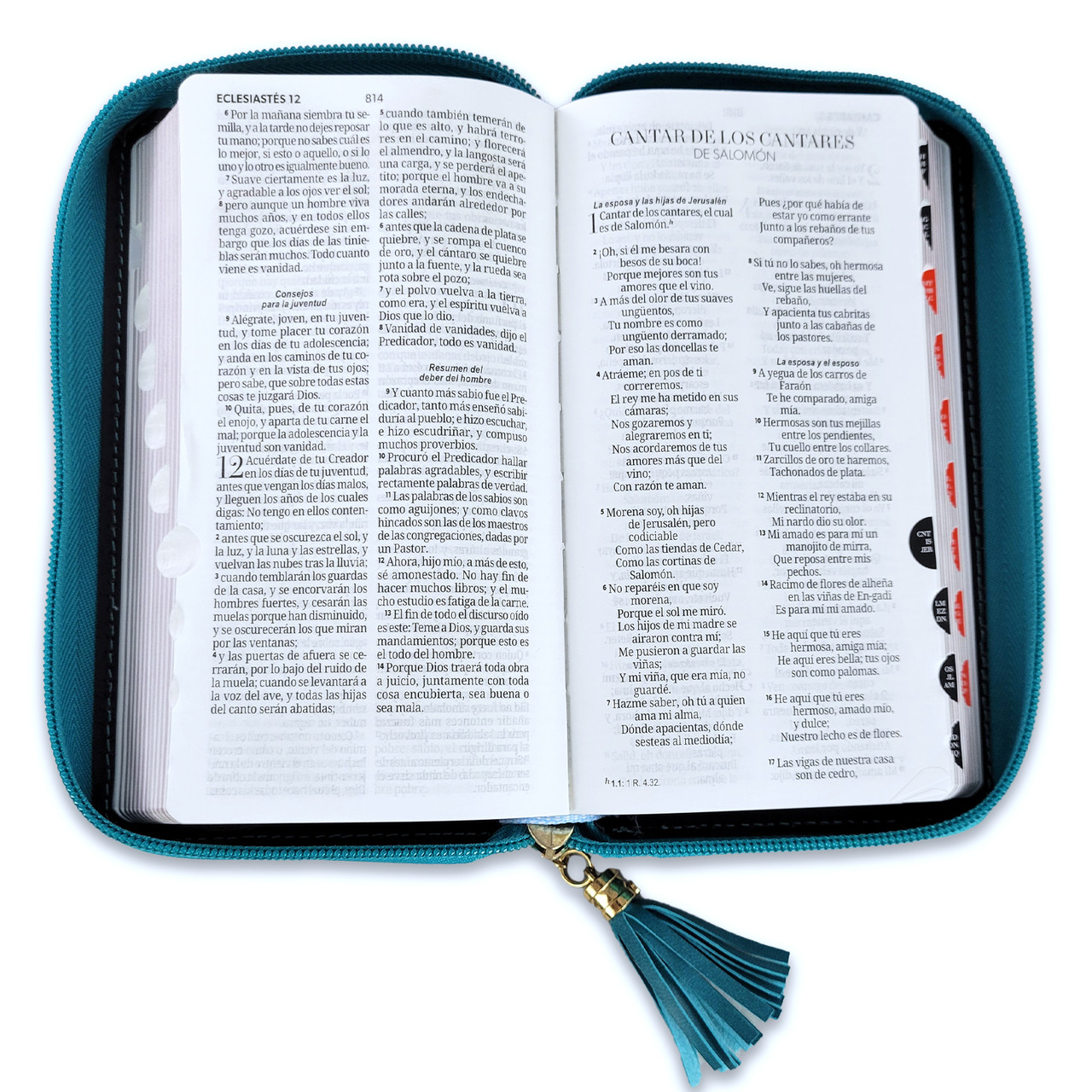 Biblia RVR60 Chequera Turquesa-Blanco Cierre Índice 5 Bibllia RVR6015CZTI/ Chequera Turquesa-Blanco/ Cierre Indice