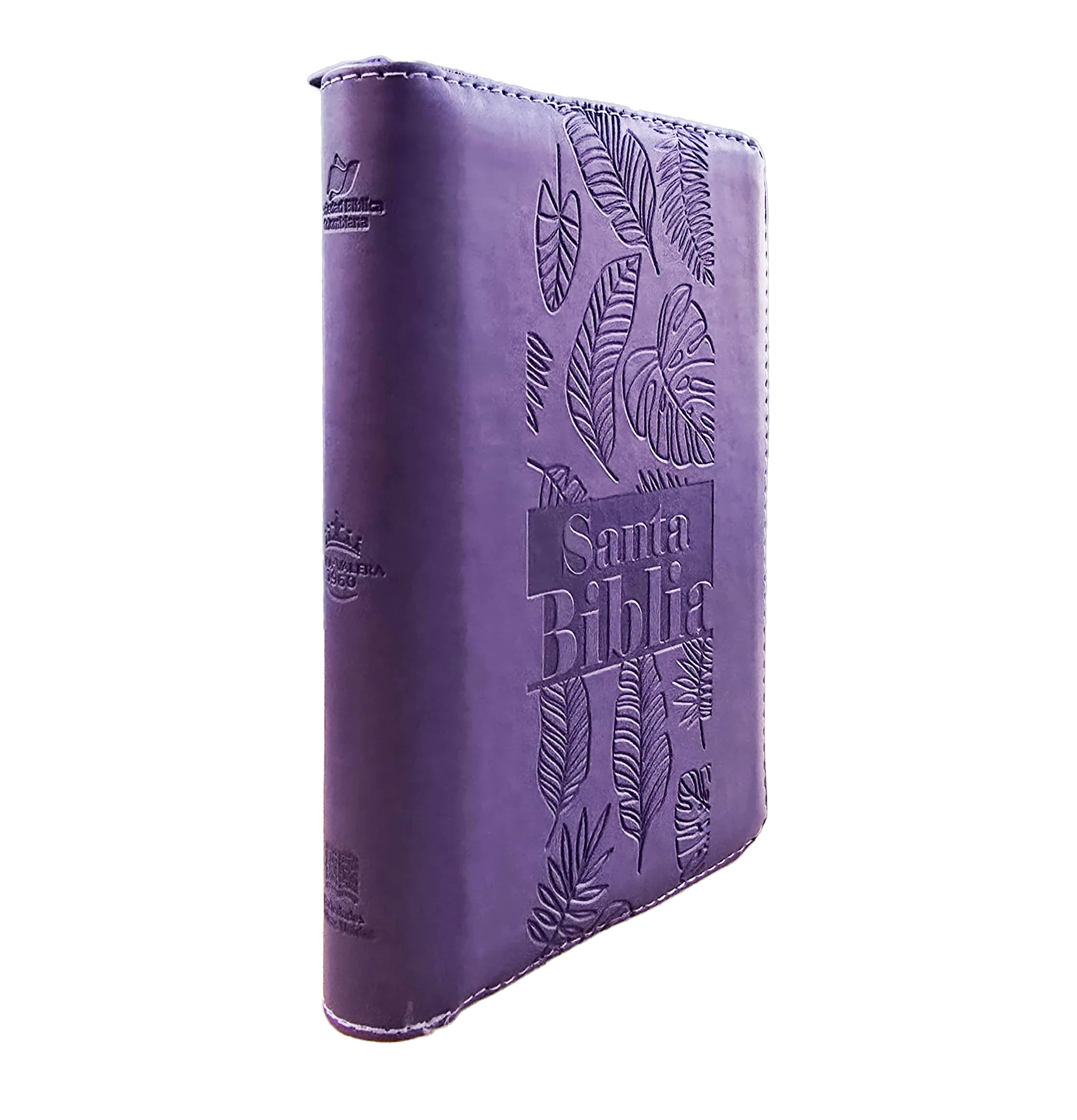 Biblia /RVR046ZLG PJR/Lila Canto Pintado