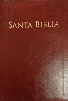 textos de la biblia reina valera 1960