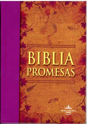 Biblia RVR60 Tamaño 042 Promesas (Imitación Piel (Vinilo)) [Biblia]