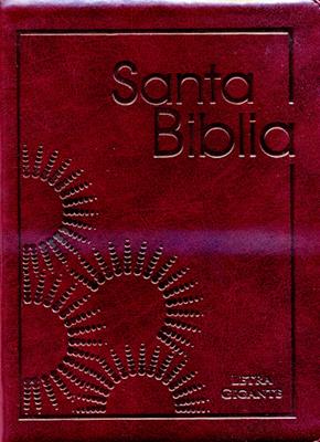 Biblia Tamaño 85 Letra Gigante Flexible Con Indice Cierre Vino-tinto