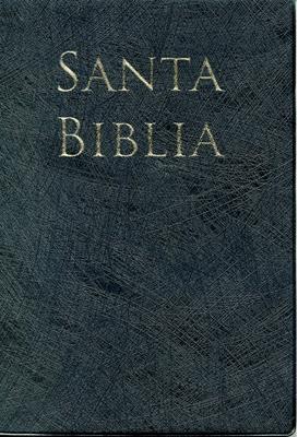Biblia Letra Grande Manual Negro