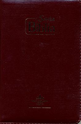 Biblia Misionera Vino