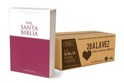 Caja De Biblias Misionera 28 A La Vez