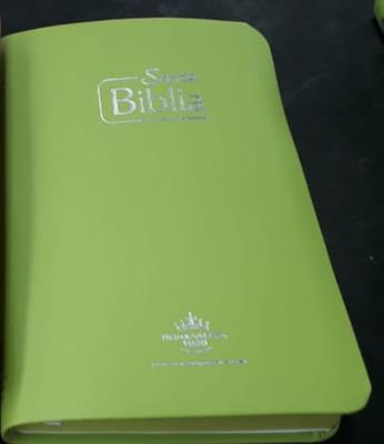 Biblia RVR Tamaño 065e Verde Canto Verde (Rigida Imitacion Cuero color Verde) [Bíblia]