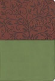 Biblia RVR1960-Letra Grande-Imitacion Piel Verde-Marron