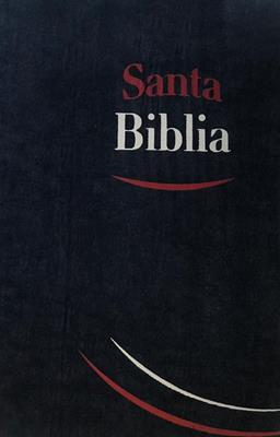 Biblia RVR Tamano062e Negro Canto Gris (Tela Color Negro) [Bíblia]