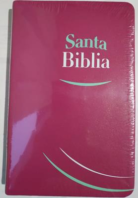 Biblia RVR Tamano062e Fucsia CantoFucsia (Tela Color Fucsia) [Bíblia]