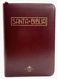 Biblia /RVR025cZTILMa PJR/ Vino tinto