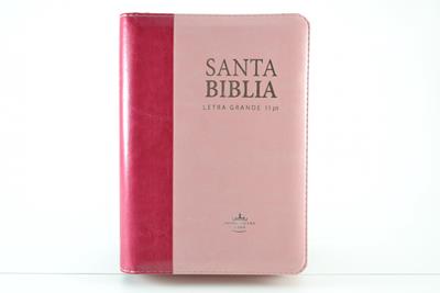 Biblia/ RVR046cLSGi/ PJRZTI /Rosa Cierre Indice