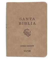 Biblia NVI 020LG/Marron Claro/Letra 8 PT