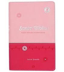 Biblia NVI 060cLG/Fucsia Y Rosa/Letra 11 PT