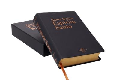 Biblia Espiritu Santo/ Negro Imitacion Piel