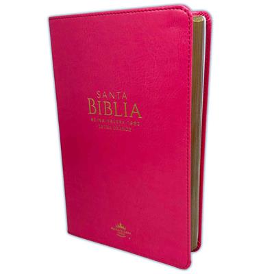 Biblia/RVR1960/Manual 065/LG - 12 Puntos/PJR/Imitacion Piel/Fucsia