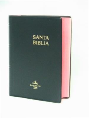 Biblia rvr 60 / Concordancia / Letra Grande (Vinilo)