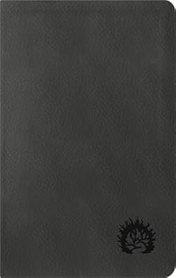 NBLA Biblia de Estudio de La Reforma Condensada