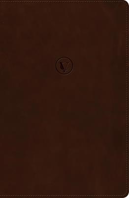 Biblia RVR60 De Estudio De Cesar Vidal/ Cafe Simil Piel