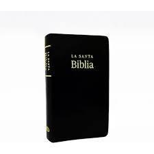 Biblia Reina Valera SBT/ Imitacion
