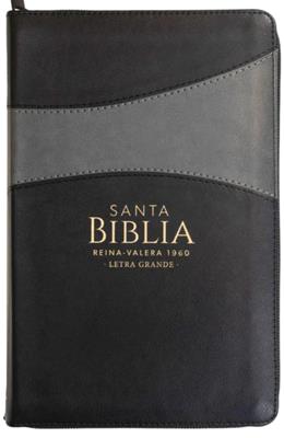 Biblia RVR6065 cz LG PJR Clasica Bitono Negro/Gris