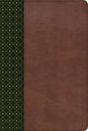 Biblia De Estudio Scofield - Verde Oscuro/Castaño Con Indice