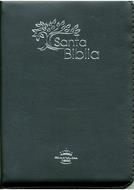 Biblia RVR60 042 CZTILG Olivo Índice