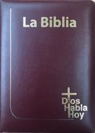 Biblia DHH 085 DKZLGia Vino Canto Pintado Amarillo (Imitación Piel) [Biblia]