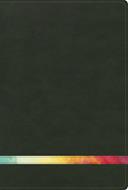 Biblia De Estudio Arco Iris RVR60 Verde Oscuro Símil Piel (Flexible Imitación Piel Verde) [Biblia de Estudio]