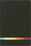 Biblia De Estudio Arco Iris Verde Oscuro Símil Piel (Imitación Piel) [Biblia]