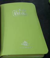 Biblia RVR Tamaño 065e Verde Canto Verde (Rigida Imitacion Cuero color Verde) [Bíblia]