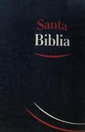 Biblia RVR Tamano062e Negro Canto Gris (Tela Color Negro) [Biblia]