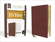 Biblias RVR60/Letra Grande/Serie 50 (10)/Cafe/Tamaño Manual