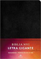 Biblia NVI/Letra Grande (imitacion piel) [Bíblia]