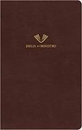 Biblia Del Ministro RVR60 (piel fabricada) [Libro]