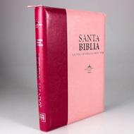 Biblia /RVR086cLSGiZTI/PJR/ Letra Super Gigante 19 pt./Rosada