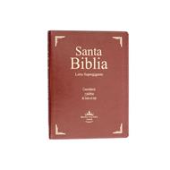 Biblia/RVR/096cLSGiPJR/Letra Super Gigante/Indice/Marron (Símil Piel)