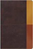 Biblia De Estudio/RVR60/Arcoiris/Cocoa-Terracota/Semil-Piel/Nueva (Imitación Piel) [Biblia de Estudio]