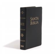 Biblia/RVR1960/Letra Grande/Manual/Vinilo/Negro