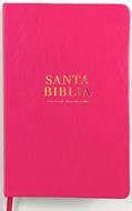 Biblia Manual RVR60 Letra Grande Rosado