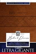 Santa Biblia de Promesas Reina Valera 1960 (Imitación Leather)