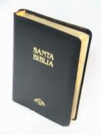 Biblia Antigua Version Semifina
