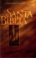 Biblia Santa Biblia (Rústica) [Biblia]