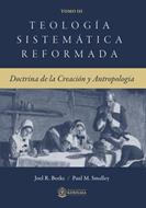 Teología Sistemática Reformada Vol.3 (Rústica) [Libro]