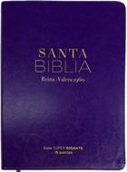Biblia /RVR6095CTI LSPG PJR/ Indice Clasica Lila