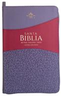 Biblia RVR60 65CZ LG PJR Clásica Bitono Lila / Morado