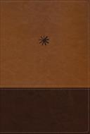 Biblia NBLA Cronologica de Estudio/ Cafe Imitacion Piel (Símil Piel) [Biblia]