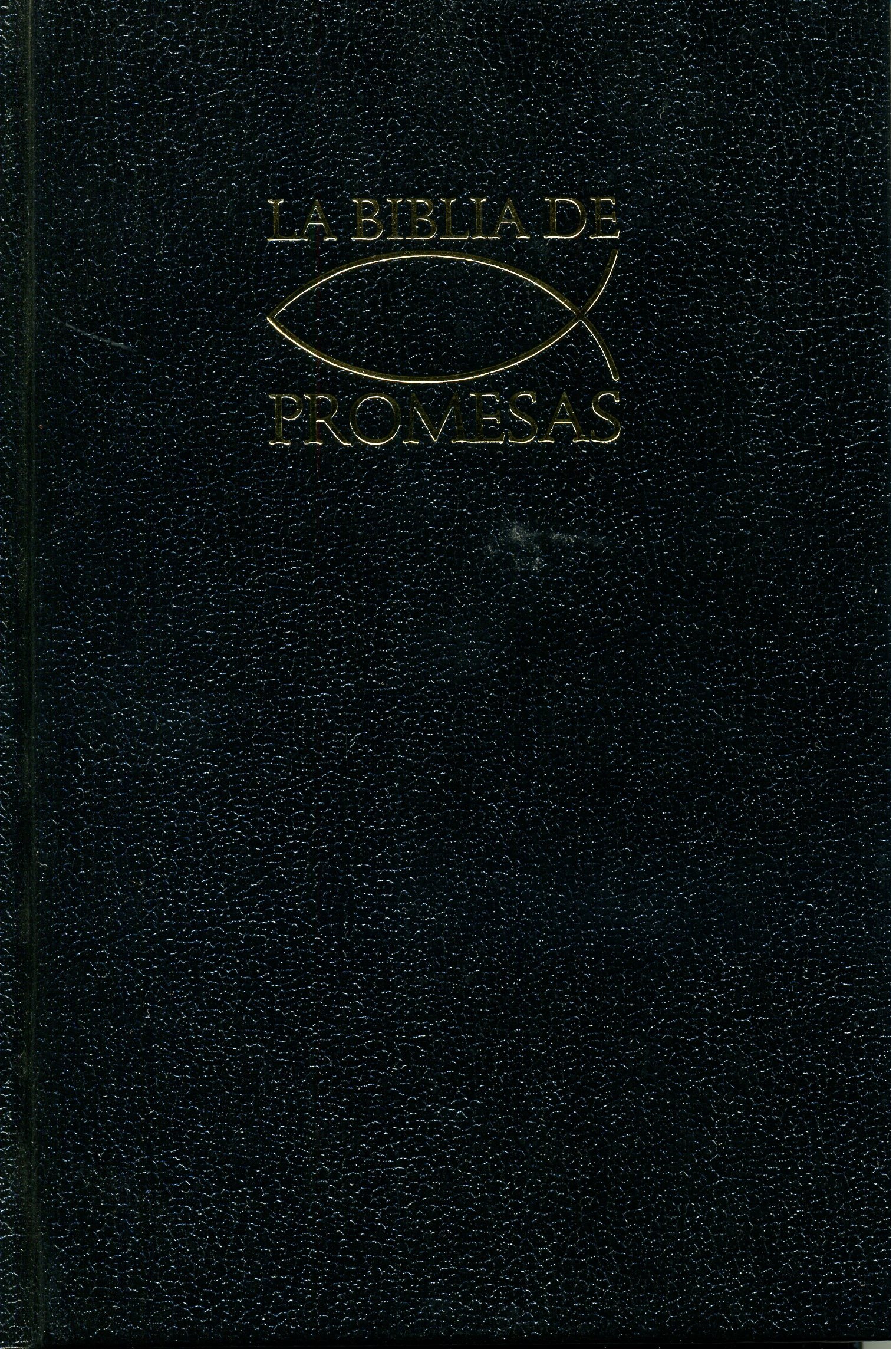 Biblia RVR60 Edicion de Promesas