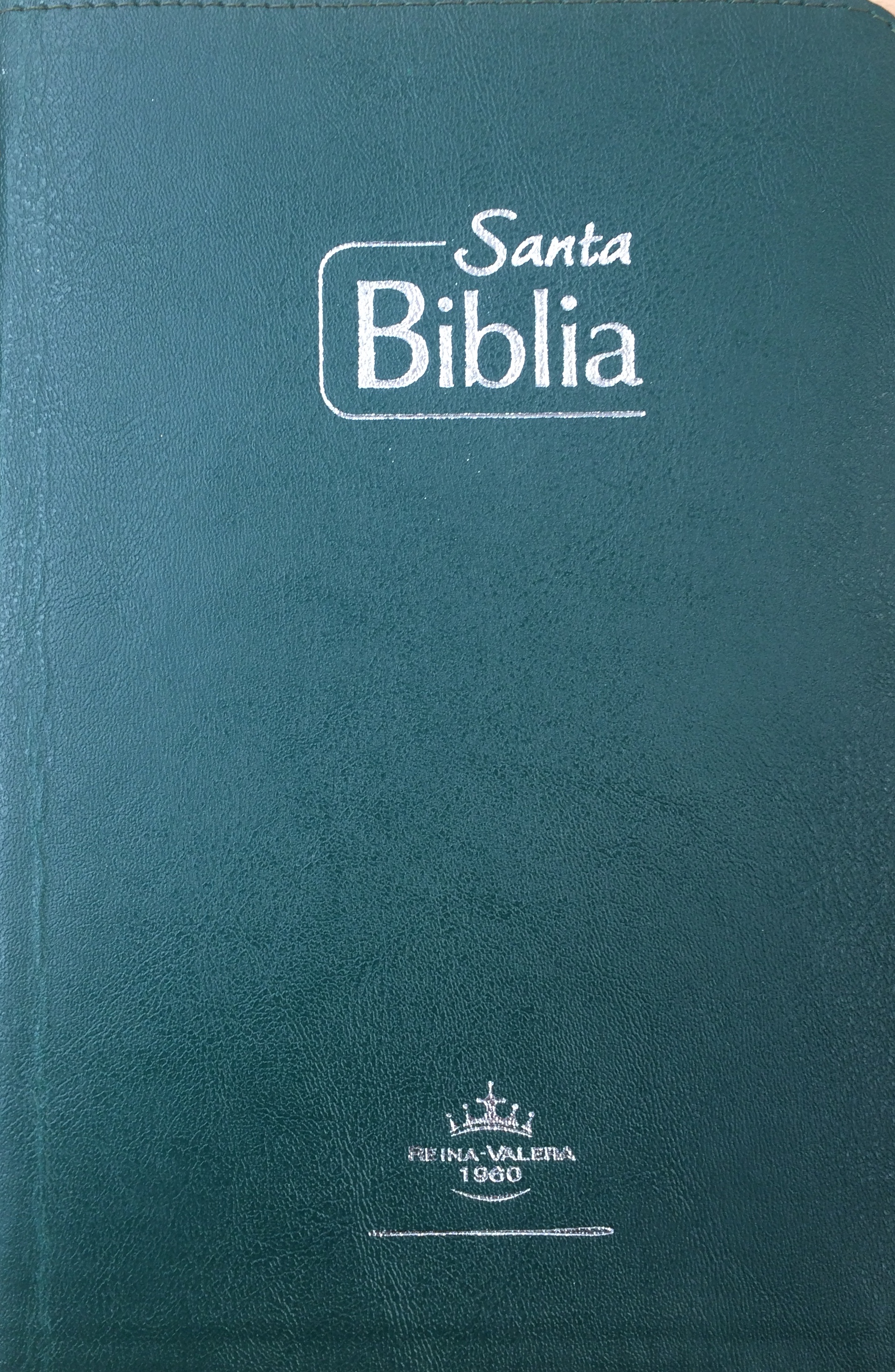 Biblia Tamaño65CZ Tipo Agenda - Canto Plateado -Verde